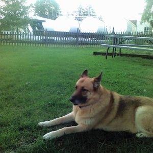 Meet your Posher, Sharon